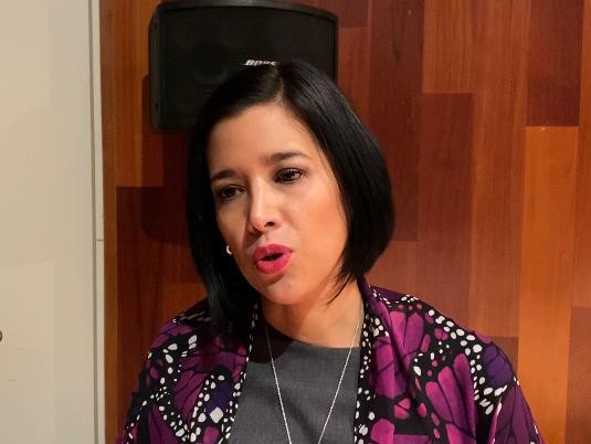 Guanajuato es atractivo para el turismo criminal, señala Sophia Huett