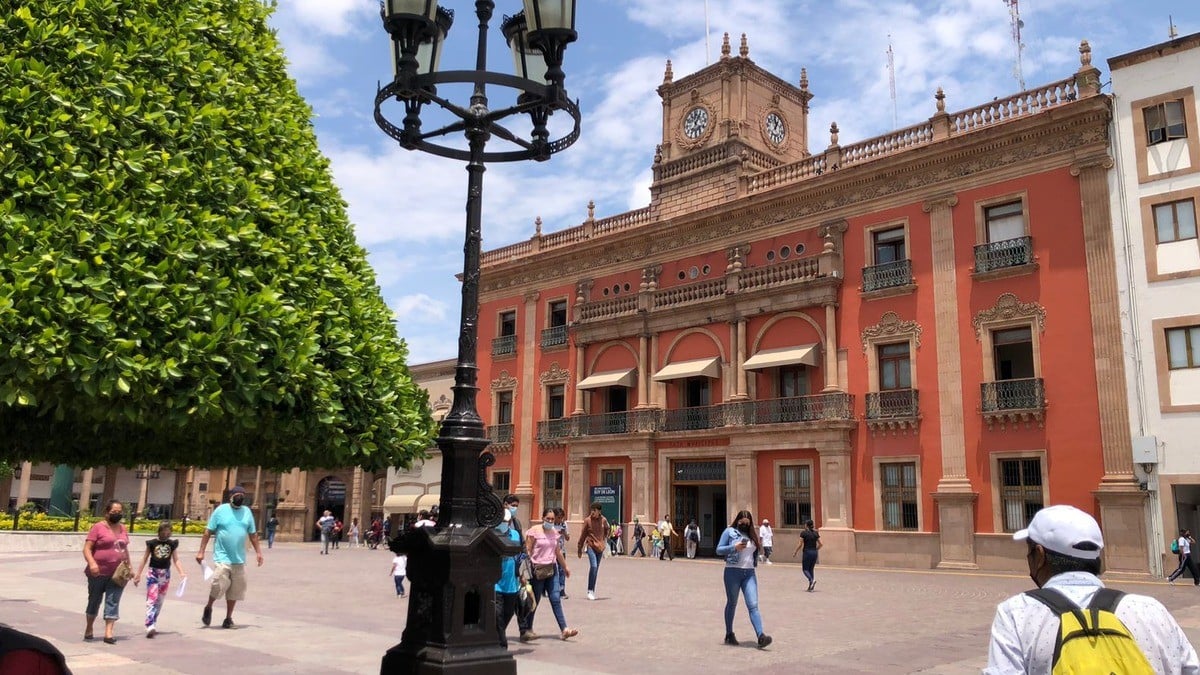 Medio Ambiente sale invicto esta Navidad