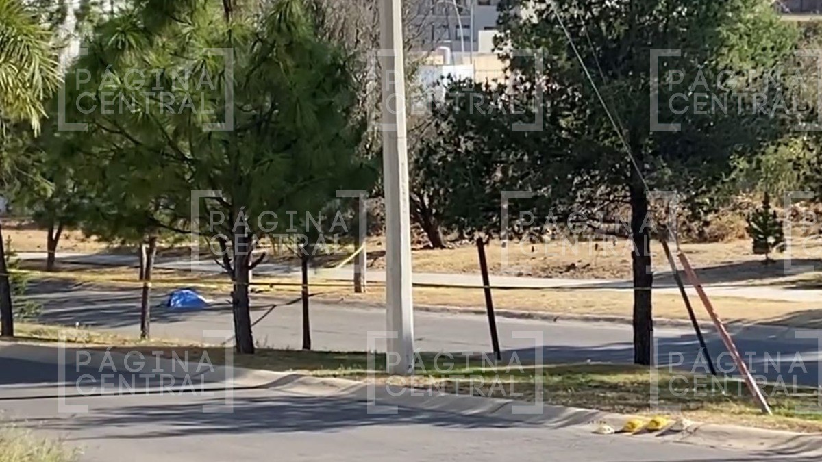 Hermanos se avientan desde un vocho sin frenos en Gran Jardín; uno muere