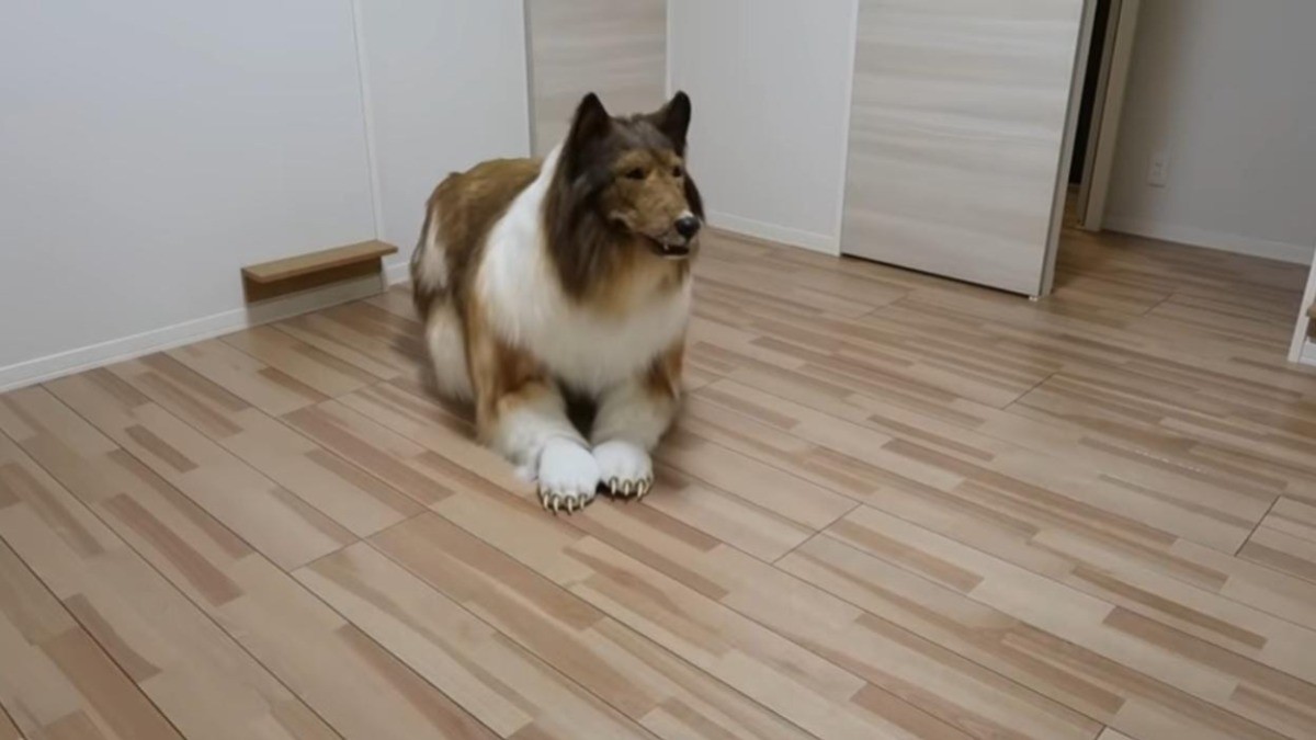 ¡Hombre gasta miles de dólares para parecerse a un perro!