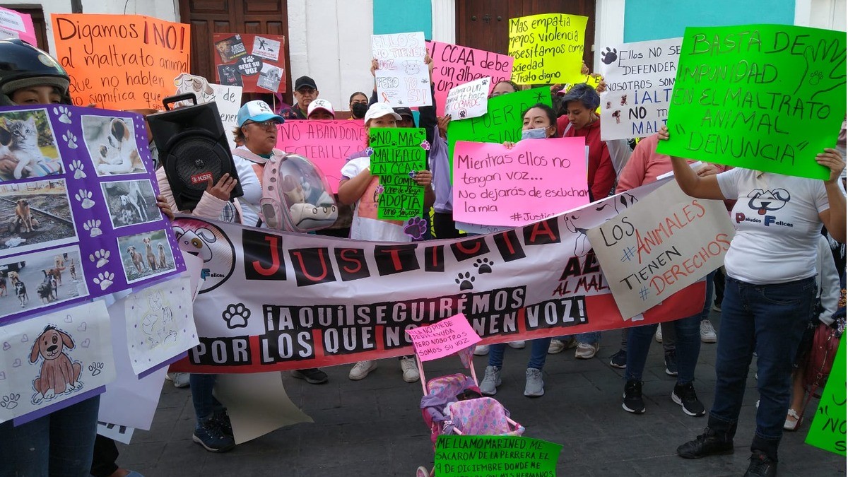 Se va titular del CAA de Silao, por maltrato animal