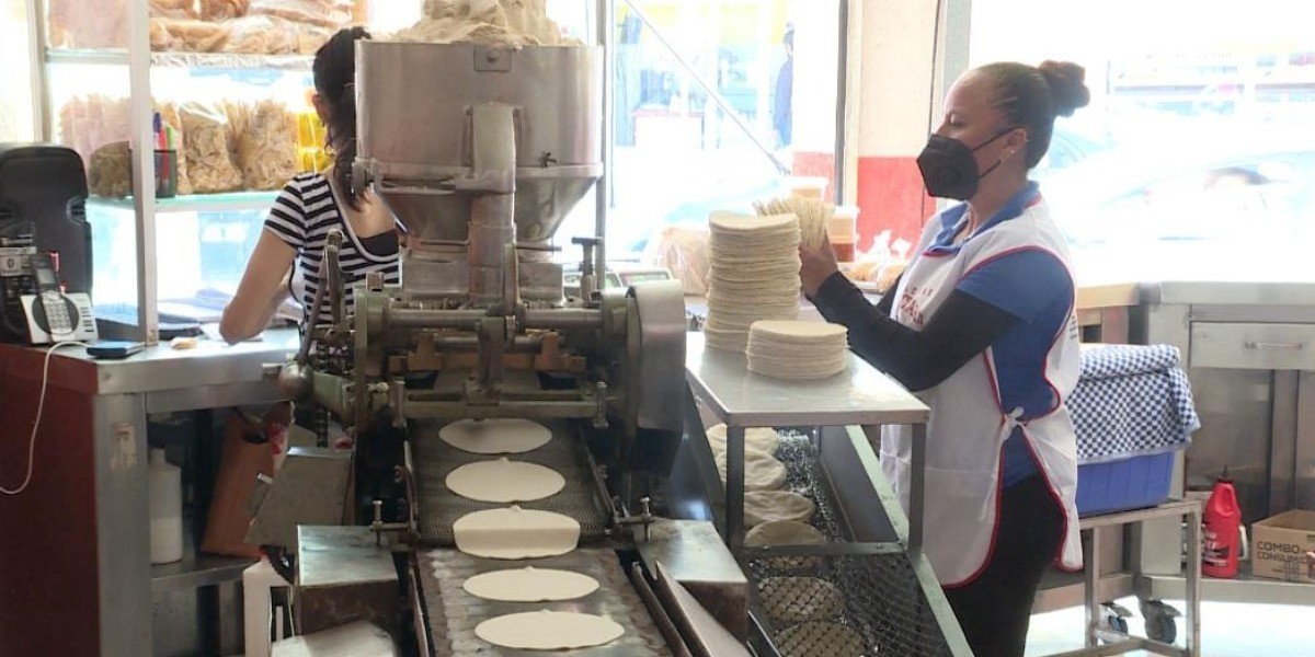 Acuerda Guanajuato con tortilleros, compra de 20 mil toneladas de maíz