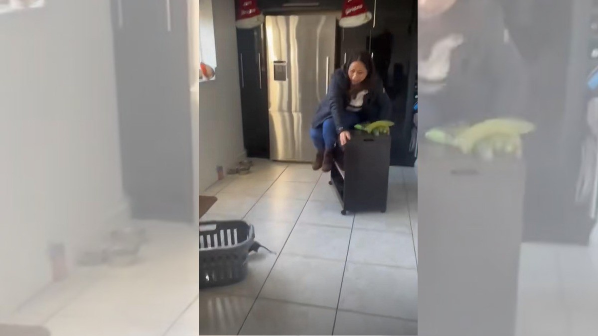 ¡Gato sale despavorido al ver una rata en su casa!