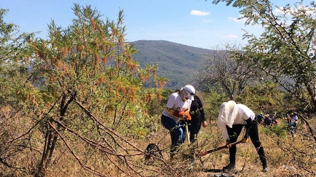 Reconoce diputado urgencia de contar con Instituto de Investigaciones Forenses