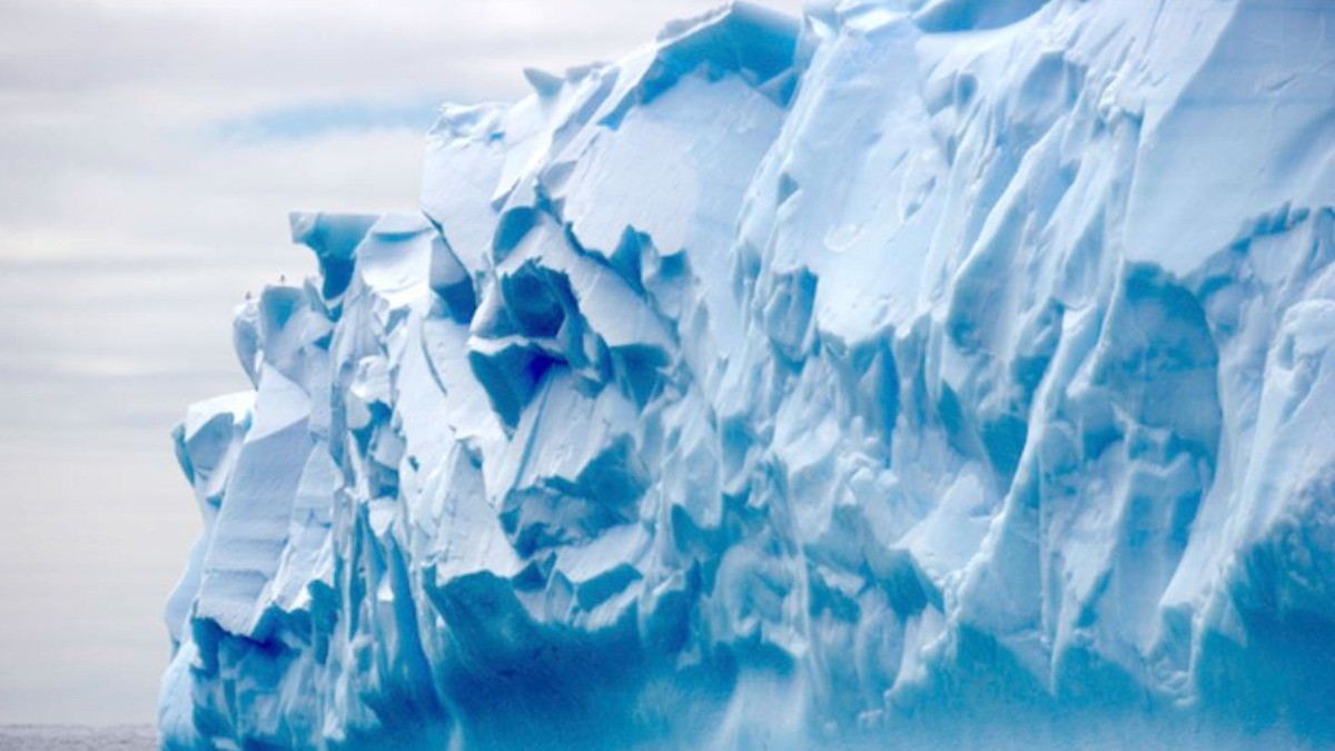 Gigantesco iceberg ¡se desprende de la Antártida!