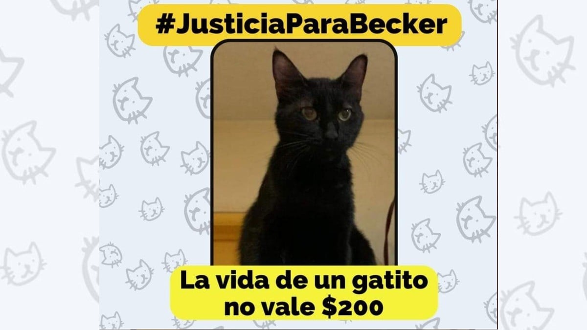 Multan con casi 30 mil pesos al asesino de ‘Becker’