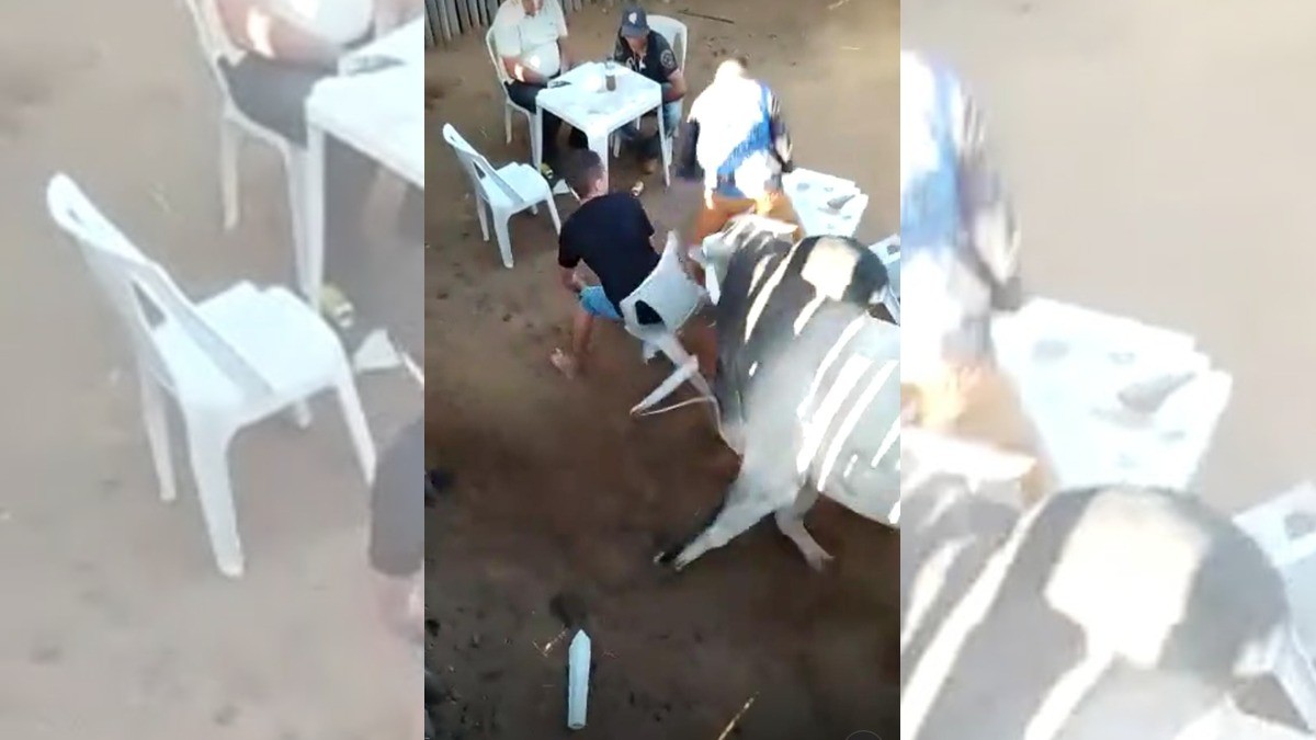 ¡Toro irrumpe en cantina y tira a los clientes!