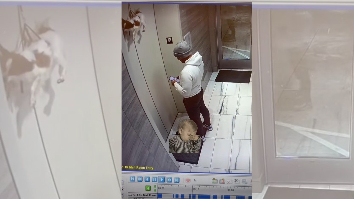 Joven rescata a lomito atorado en elevador