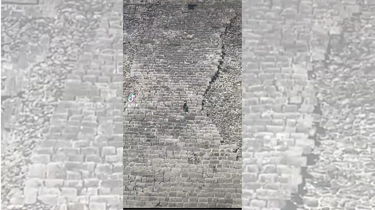 Lomitos trepan la pirámide de Kukulkán y estremecen las redes