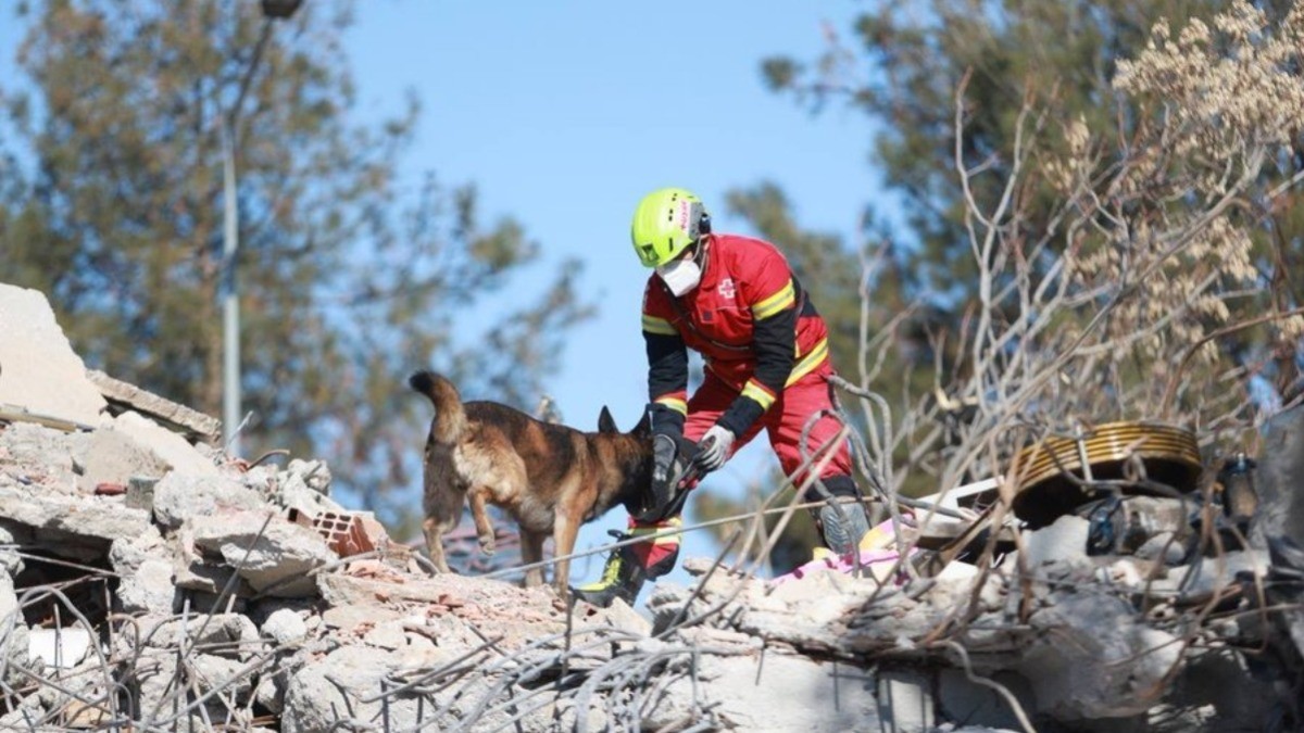 “No hay mexicanos afectados por los sismos en Turquía”