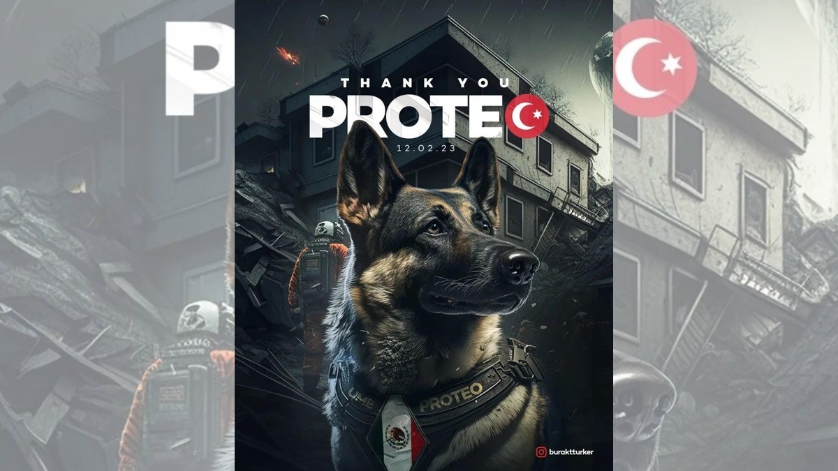 Diseñador turco crea postal en homenaje a Proteo