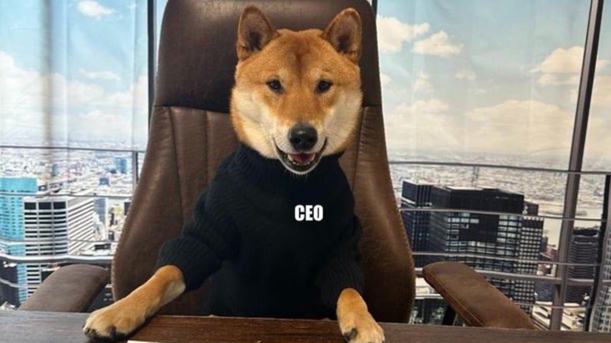 Ante falta de prospectos, Elon 'presenta' a un CEO de Twitter muy 'perrón'