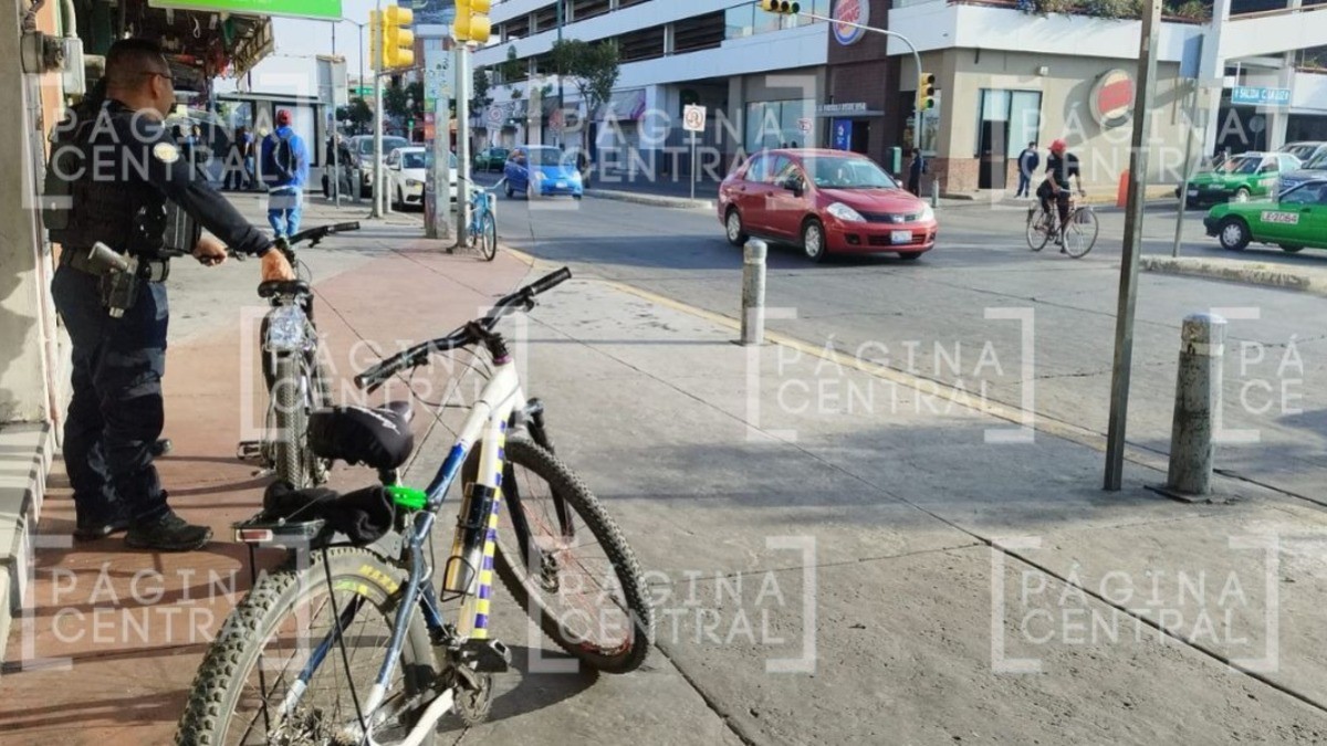 Van más cámaras de seguridad para Zona Piel