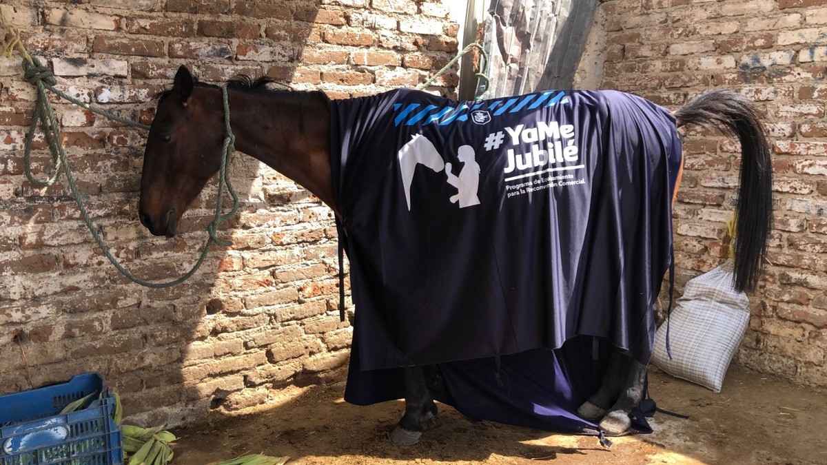 Pedro jubiló a 'La Hormiga', y ahora venderá sus elotes en una moto