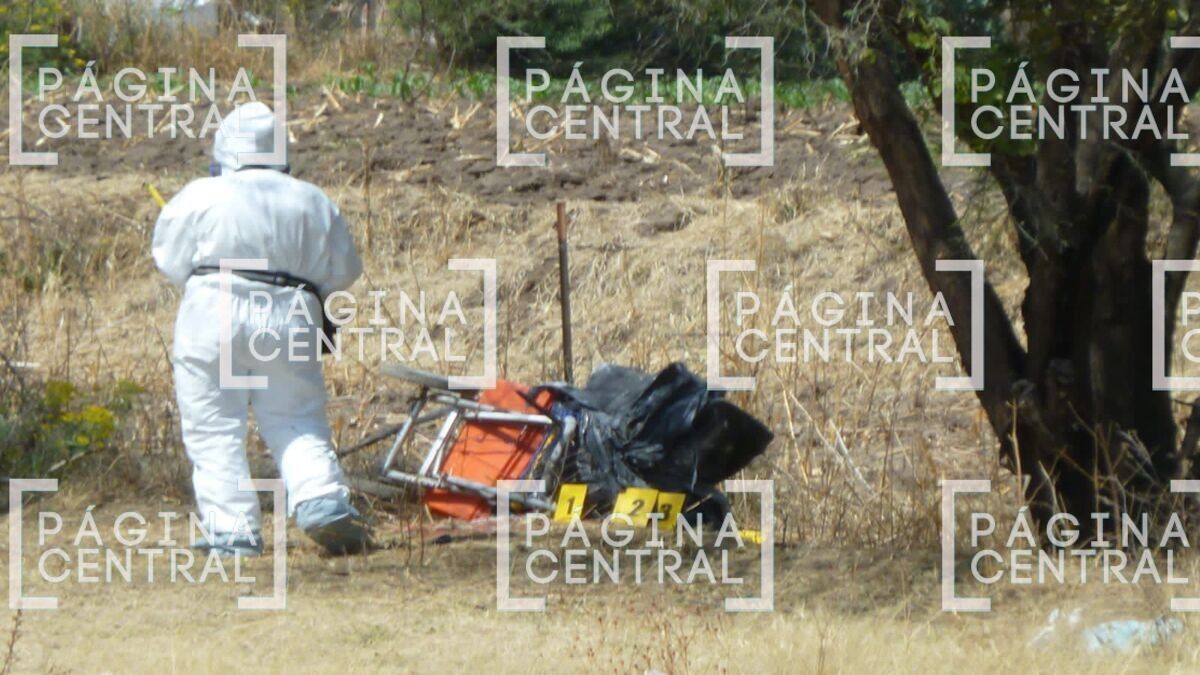 Encuentran embolsado en la colonia Héroes de León      