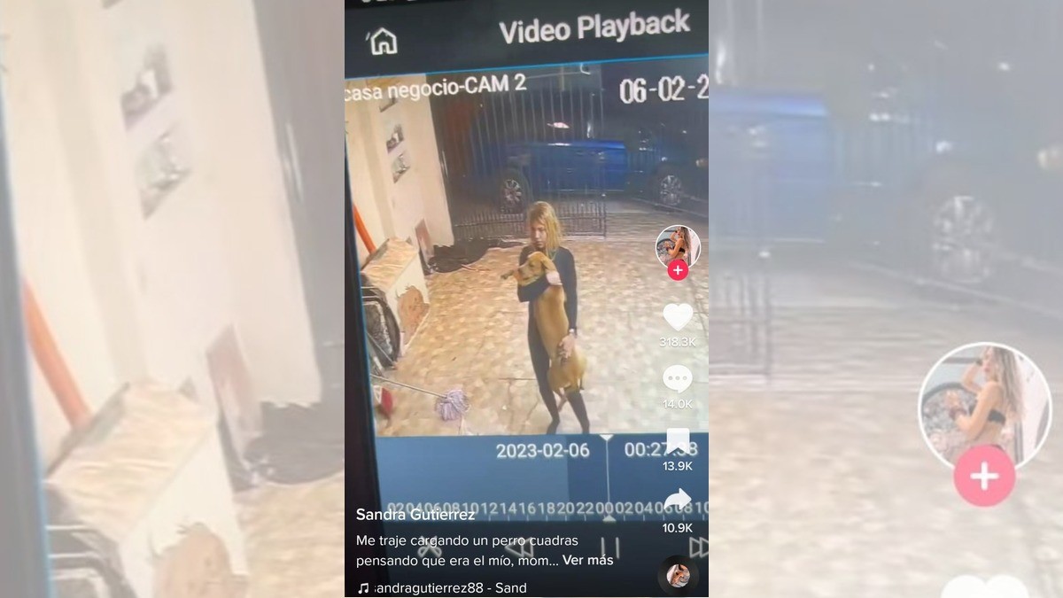 Joven carga un perrito por varias cuadras pensando que era el suyo; ¡se equivoca!