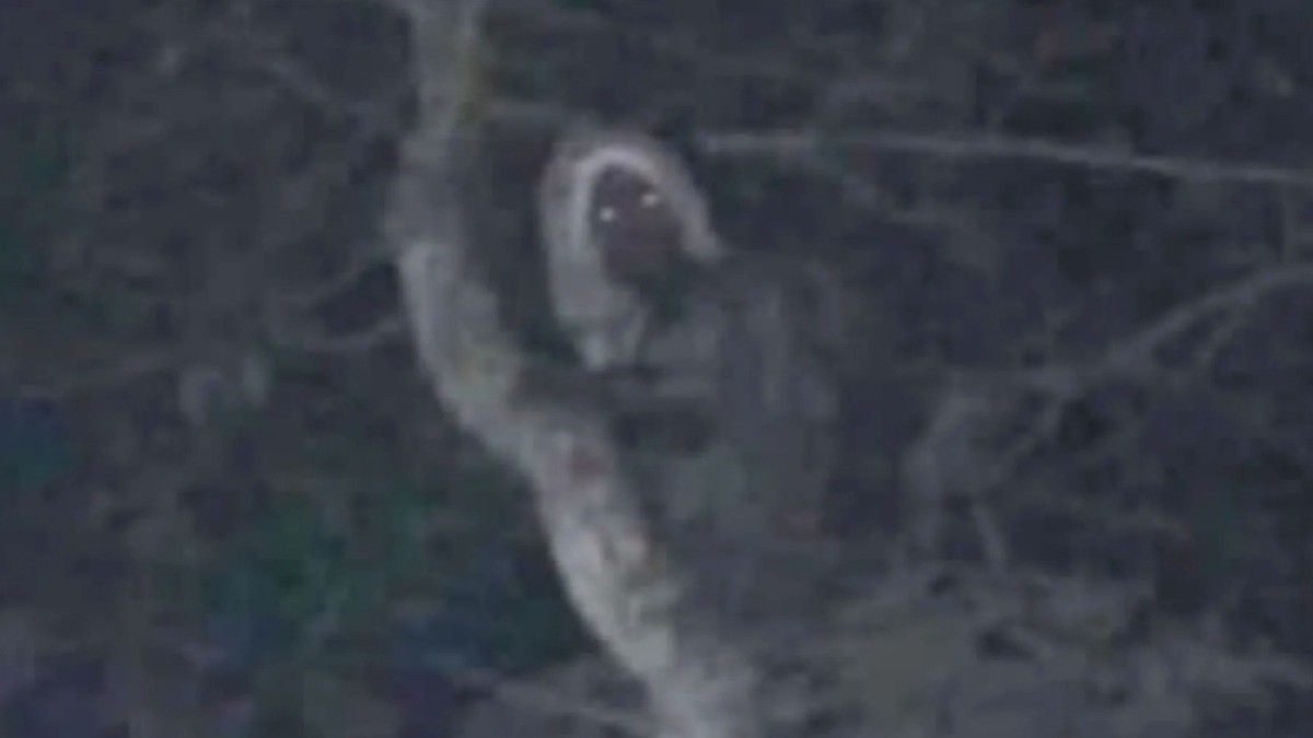 La vida también es lo místico: AMLO