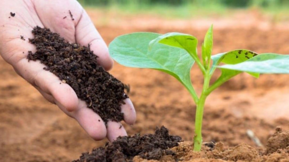 Llegan 30 mil toneladas de fertilizante para el agro guanajuatense