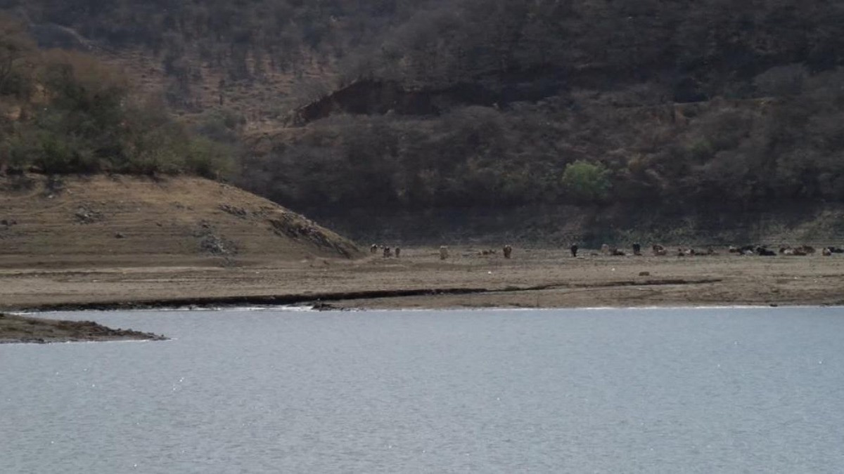 En León desde hace años se tandea agua potable, afirma el Gobernador del Estado