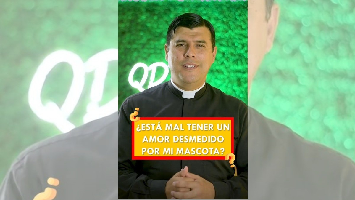 Sacerdote causa controversia al señalar que “un animal no vale más que un humano”