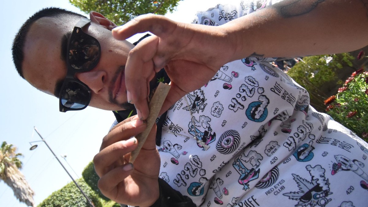 Legalizar la marihuana no reducirá el mercado ilegal: ONU