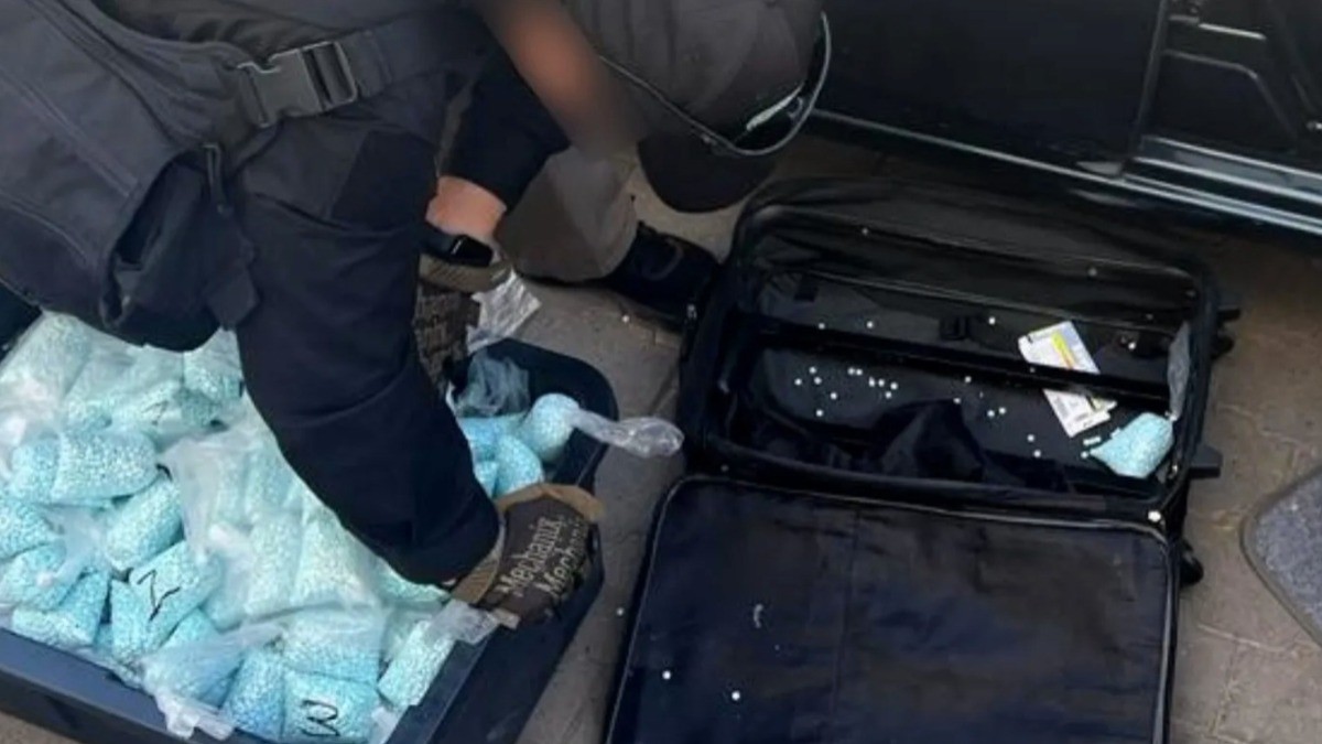 Decomisan cargamento de 'arcoíris' que iba rumbo a Estados Unidos