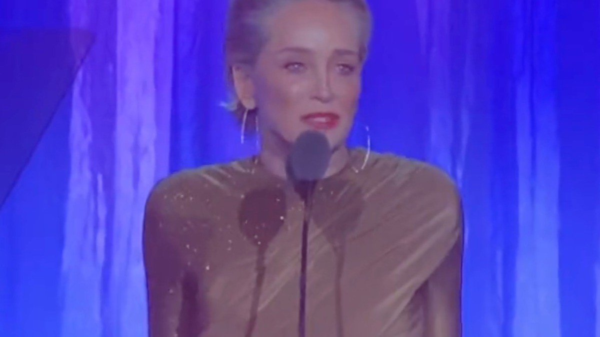 Sharon Stone pierde la mitad de su fortuna en crisis bancaria