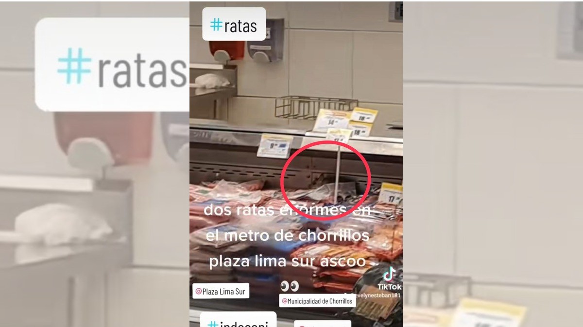 Captan ratas en el departamento de embutidos