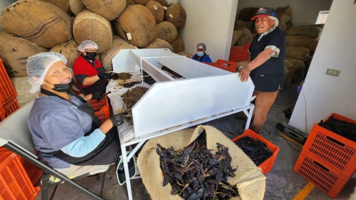 Guanajuato lleva mole a Estados Unidos, Europa y Canadá