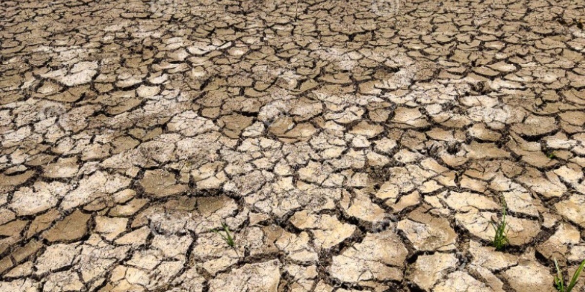 Aumenta sequía y se escasea agua potable en la entidad