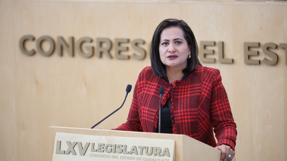 Urgen declaratoria de Alerta de Violencia Contra las Mujeres para Guanajuato