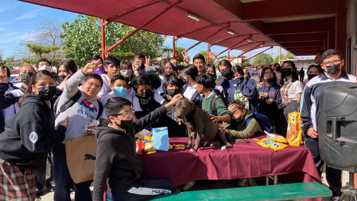 Alumnos adoptan a perrita ¡y le organizan baby shower!