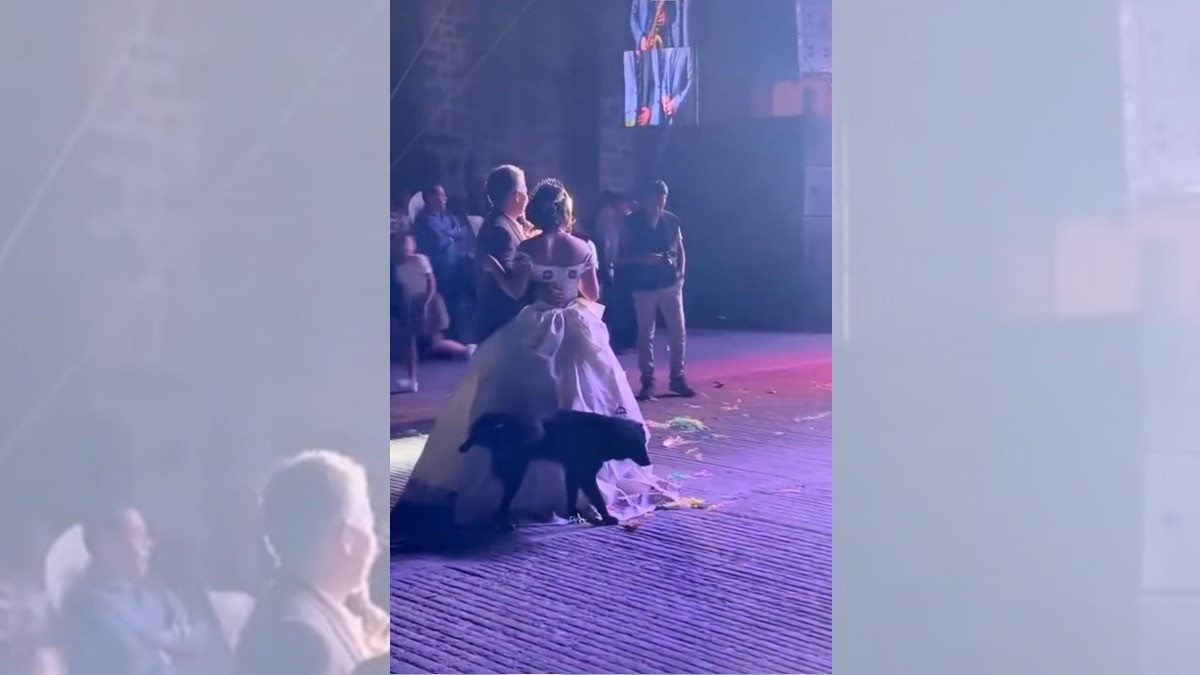 Perrito le “echa su firma” a una quinceañera