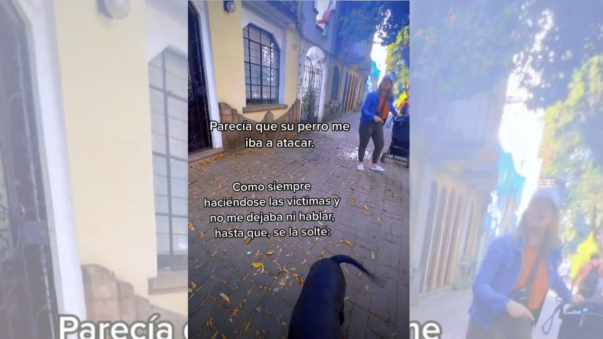 Gringa recibe reclamos por pasear a sus perros sin correa en la Condesa