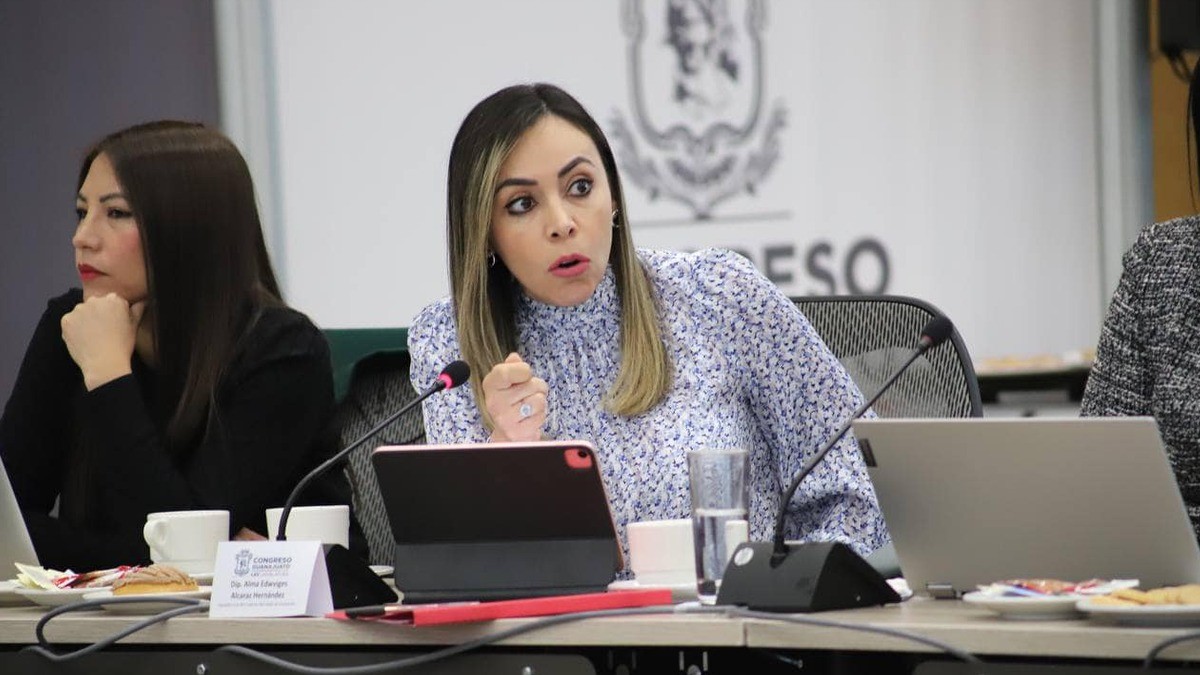 Rechazar recomendaciones y aceptar alerta de género, propone Yulma Rocha