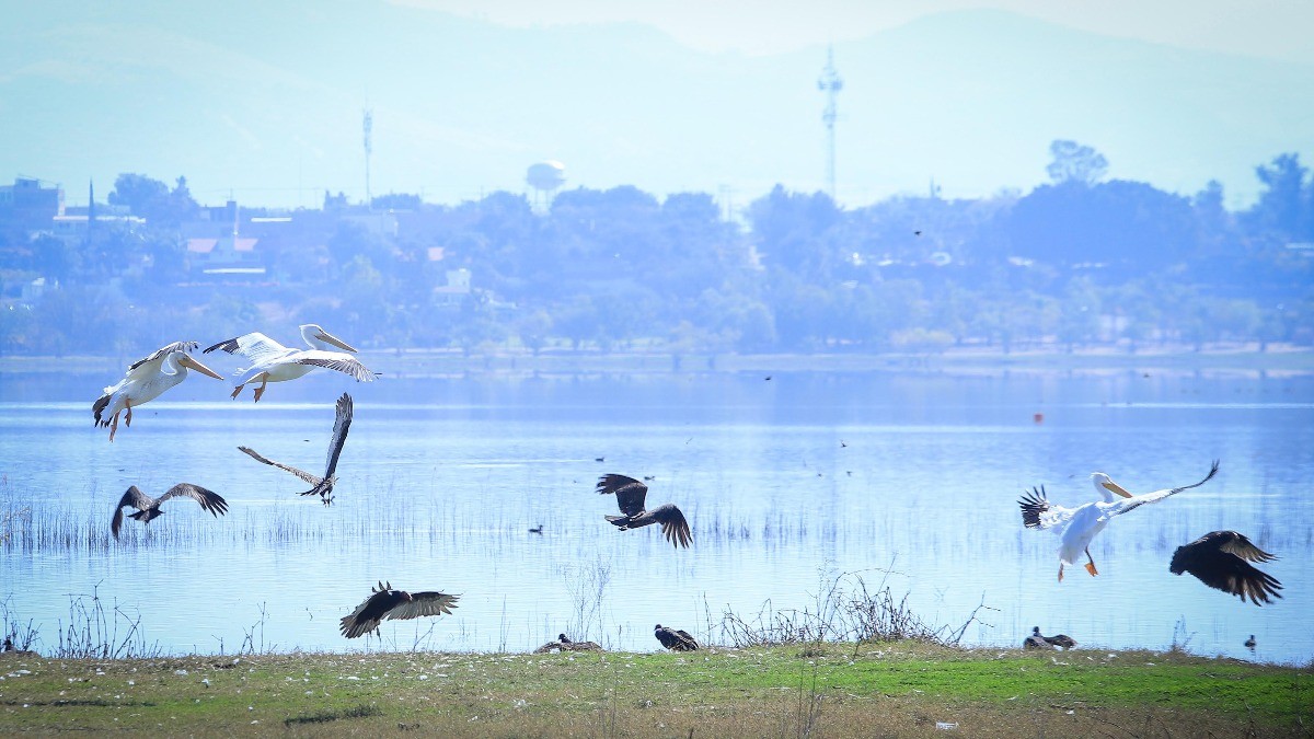 Este año PC León revisará 70 cuerpos de agua