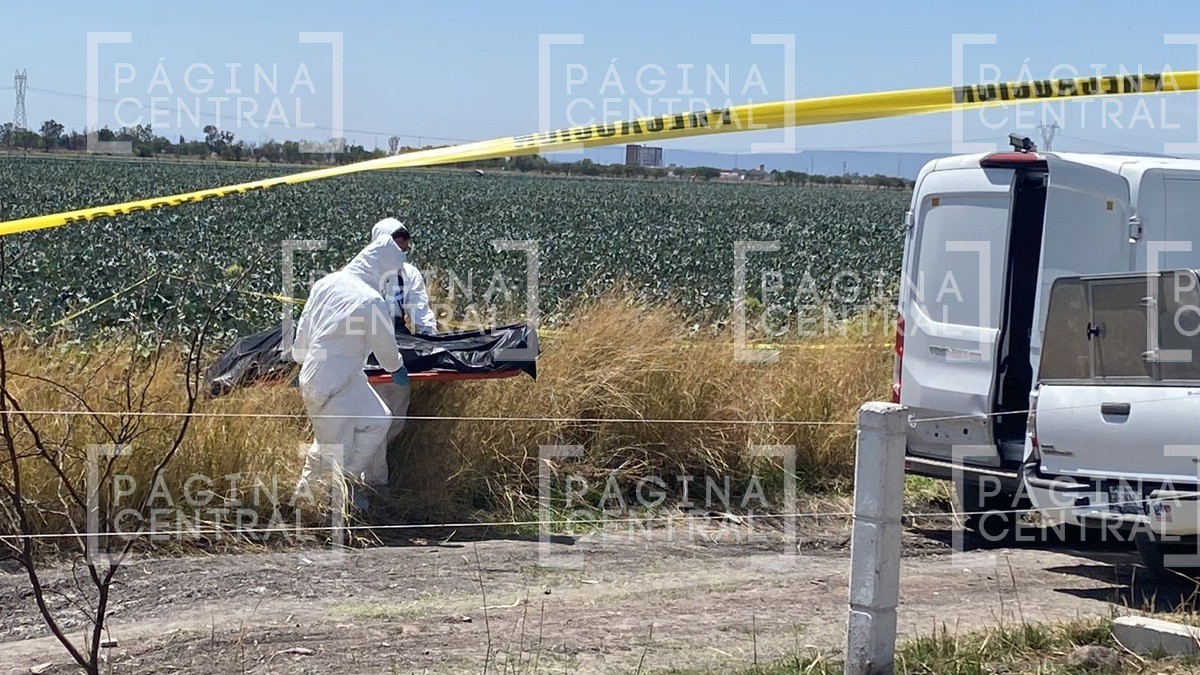 Hallan cuerpo con huellas de violencia en Nuevo San Juan