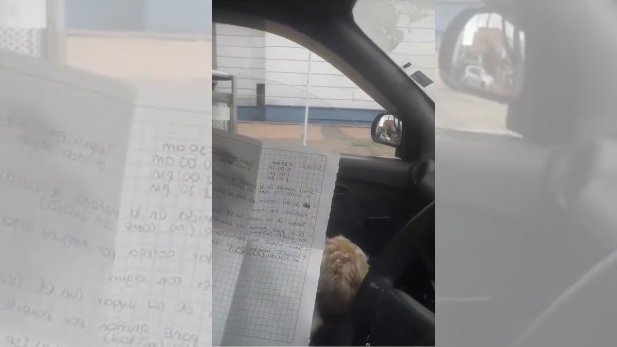 Dueño abandona a perrito en un taxi; conductor lo adopta