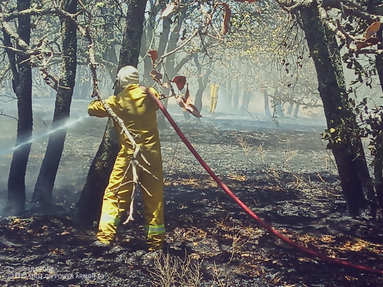 Disminuyen incendios en León