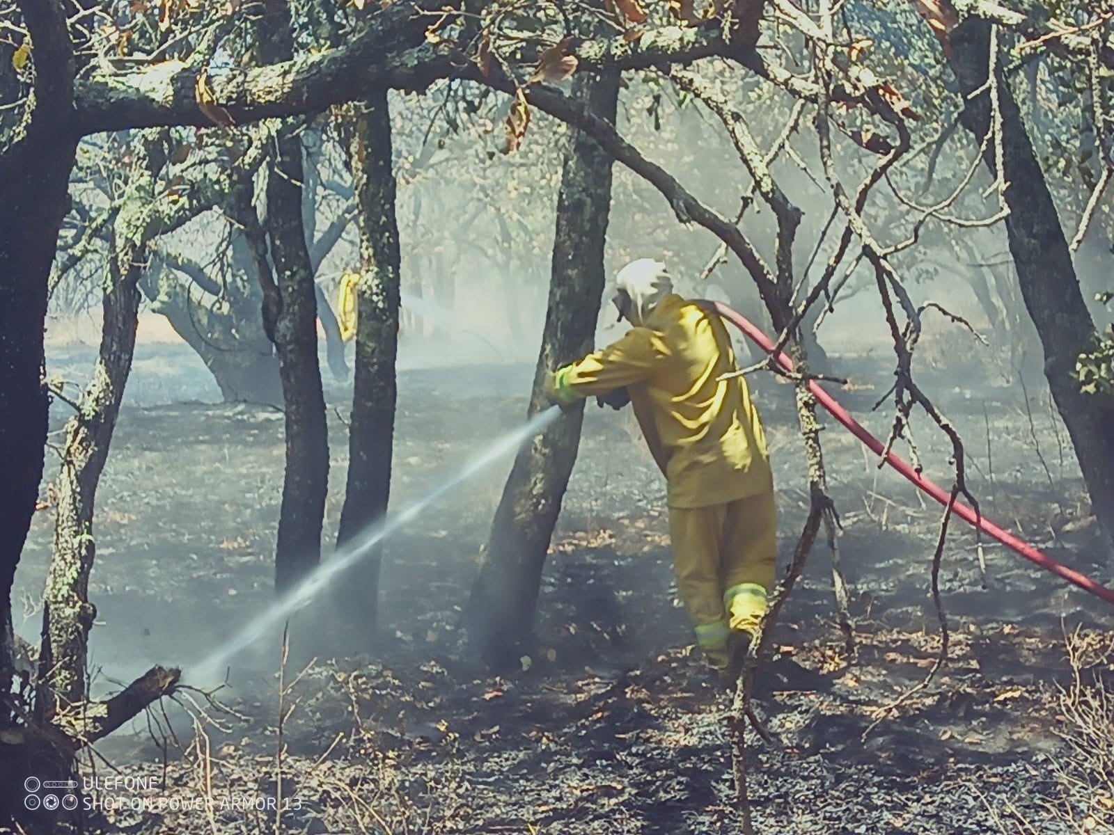 Se reducen daños forestales por incendios en 2022