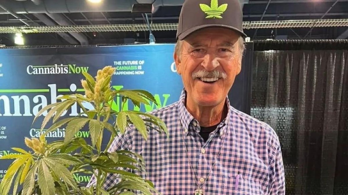 Fox se indigna ante investigación de AMLO, lo manda a “callarse el hocico”