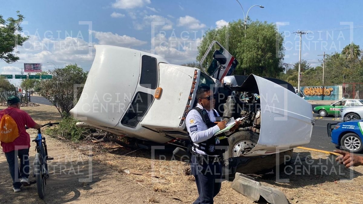 ¡Conductores salvan a perrito y trailero choca para no impactarlos!