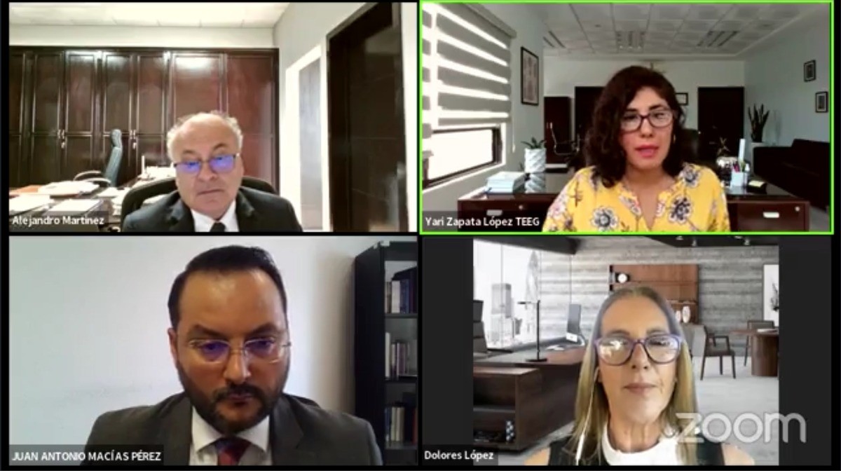 TEEG da carpetazo a dos denuncias contra PVEM y PAN