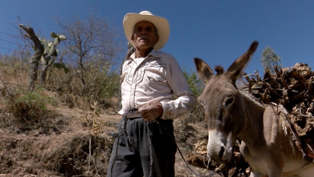 Don Ángel camina por una hora para hallar agua en El Saucillo