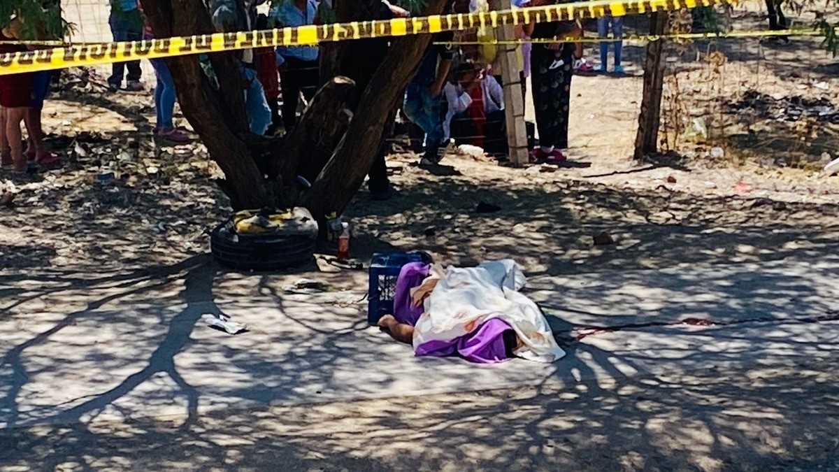 Alertan sobre gestores que estafan a víctimas del delito