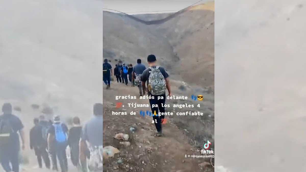 ¡”Polleros” ofrecen sus servicios a través de Tik Tok!