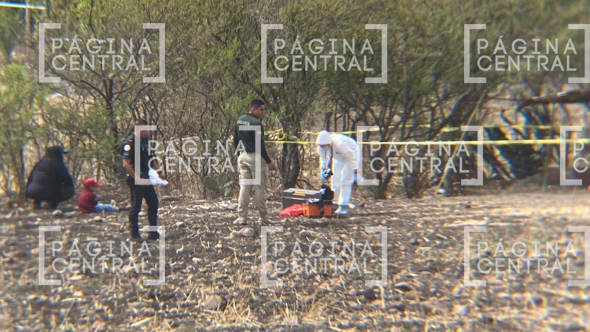 Perro halla cabeza humana enterrada entre cultivos en Llano Grande