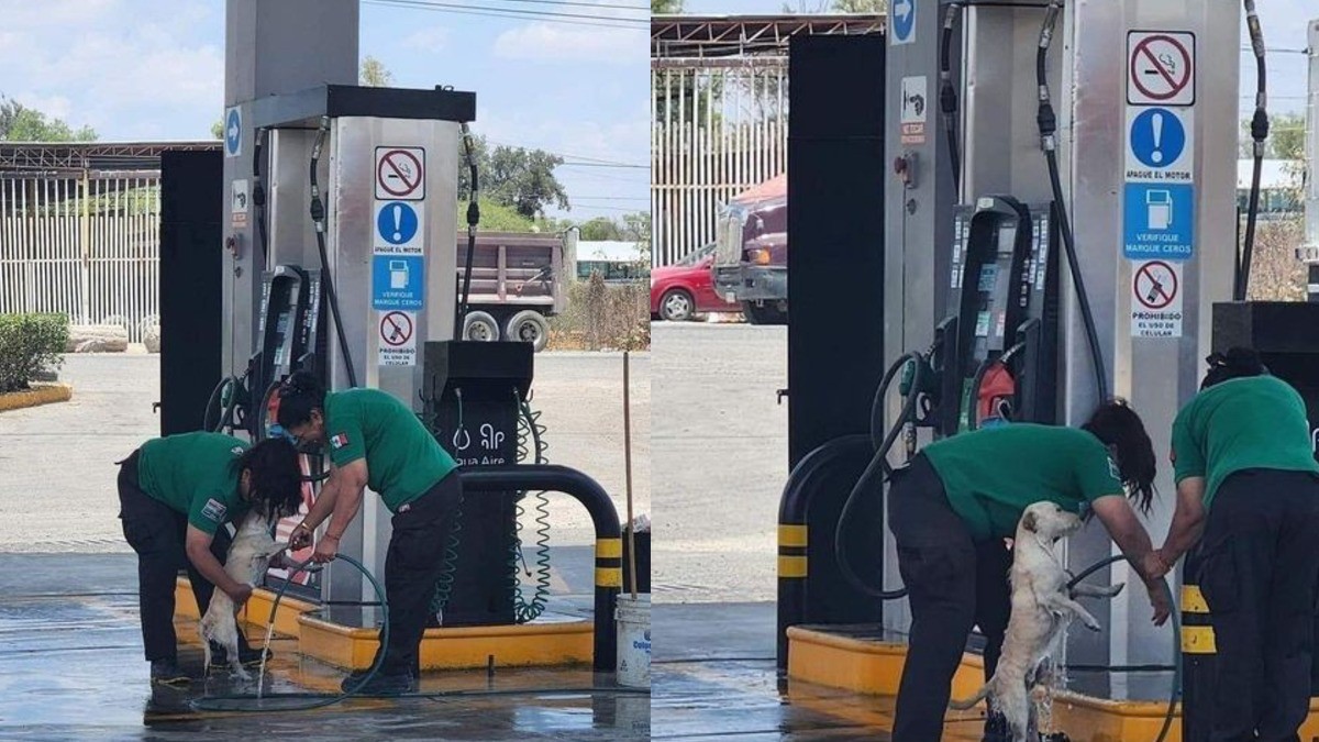 Empleadas de gasolinera “refrescan” a un lomito