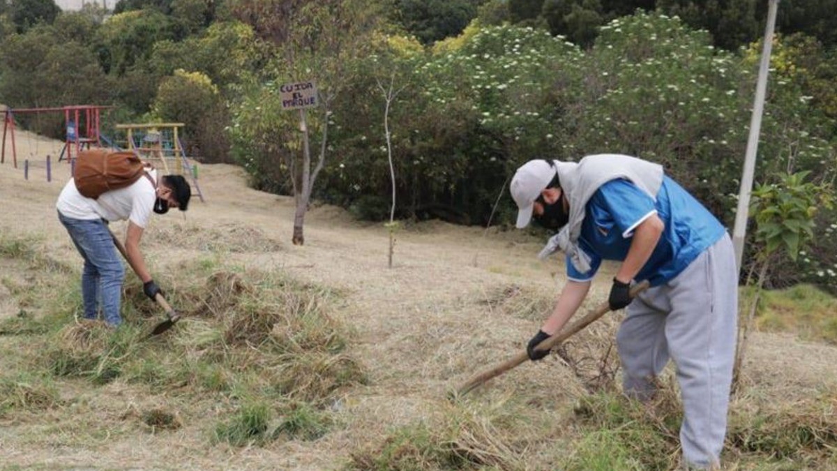 Trabajador informal sólo percibe 6 de cada 10 pesos de lo que recibe uno formal