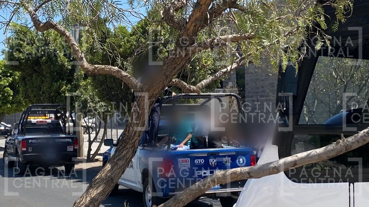 ¡Persecución! Policía de León detiene a tres hombres acusados de robo a negocio